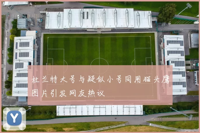 杜兰特大号与疑似小号同用猫头鹰图片引发网友热议