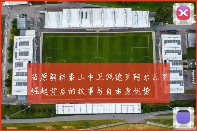 苗原解析泰山中卫佩德罗阿尔瓦罗崛起背后的故事与自由身优势